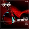 Thumbnail for the Soulkeys - Organistic link, provided by host site