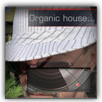 Thumbnail for the Arc - Organix house 2 link, provided by host site