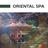 Thumbnail for the The Rest - Oriental Spa – Relaxing Music, Tibetan Spirit, Zen, Spa, Music for Massage, Wellness, Deep Relaxation link, provided by host site
