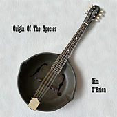 Thumbnail for the Tim O'Brien - Origin Of Species link, provided by host site