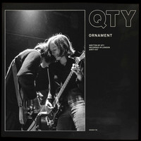 Thumbnail for the QTY - Ornament link, provided by host site