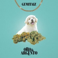 Thumbnail for the Gemitaiz - Oro E Argento link, provided by host site