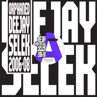 Thumbnail for the AFX - orphaned deejay selek 2006-2008 link, provided by host site
