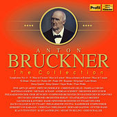Thumbnail for the Stuttgart Philharmonia Vocal Ensemble - Os justi, WAB 30 link, provided by host site