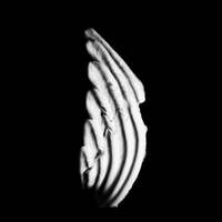 Image of KMRU linking to their artist page due to link from them being at the top of the main table on this page