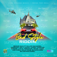Thumbnail for the Beenie Man - Other Day link, provided by host site