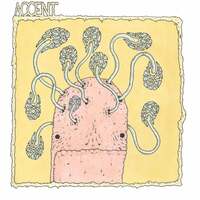 Thumbnail for the Accent - Otherwise link, provided by host site