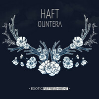 Thumbnail for the HAFT - Ountera link, provided by host site