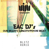 Thumbnail for the BL1TZ - Our Brain's Capacity - Bl1tz Remix link, provided by host site