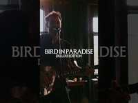 Thumbnail for the The Cat Empire - Our deluxe 'Bird in Paradise' album is out now #newmusic link, provided by host site