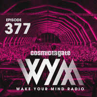 Thumbnail for the Ferry Corsten - Our Moon (WYM377) - Protoculture Remix link, provided by host site