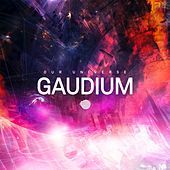 Thumbnail for the Gaudium - Our Universe link, provided by host site