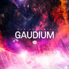 Thumbnail for the Gaudium - Our Universe link, provided by host site