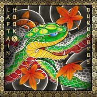 Thumbnail for the Captain Hook - Ouroboros - Present link, provided by host site