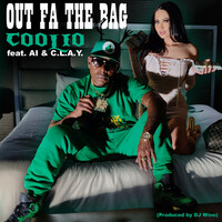 Thumbnail for the Coolio - Out Fa the Bag link, provided by host site