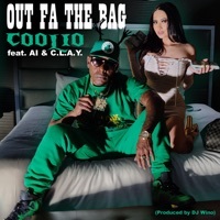 Thumbnail for the Coolio - Out Fa the Bag link, provided by host site