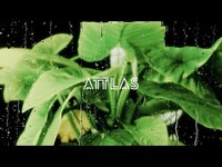 Thumbnail for the ATTLAS - Out Here Together Mix link, provided by host site
