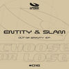 Thumbnail for the Entity - Out of Gravity link, provided by host site