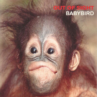 Thumbnail for the "Babybird" - Out of Sight link, provided by host site