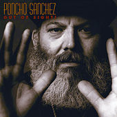 Thumbnail for the Poncho Sanchez - Out Of Sight! link, provided by host site