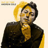 Image of Andrew Cole linking to their artist page due to link from them being at the top of the main table on this page