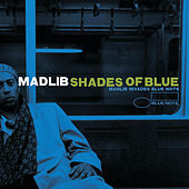 Thumbnail for the Madlib - Outro link, provided by host site