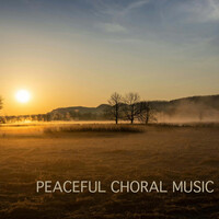 Thumbnail for the Jan Garbarek - Ov zarmanali link, provided by host site