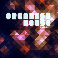 Thumbnail for the YokoO - Over Night - Original Mix link, provided by host site
