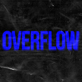 Thumbnail for the SoMo - Overflow link, provided by host site