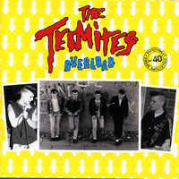 Thumbnail for the The Termites - Overload link, provided by host site