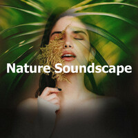 Thumbnail for the Calming Sounds - Overlook Bluebells link, provided by host site
