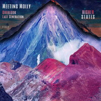 Image of Meeting Molly linking to their artist page due to link from them being at the top of the main table on this page