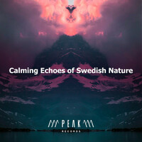 Thumbnail for the Calming Sounds - Overlook Tranquil link, provided by host site