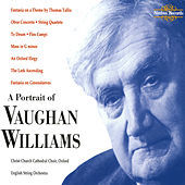 Thumbnail for the English String Orchestra - Overture: The Wasps link, provided by host site