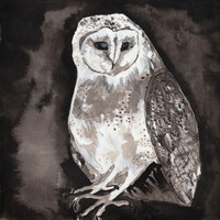 Thumbnail for the Cosmo Sheldrake - Owl Song link, provided by host site