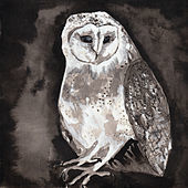 Thumbnail for the Cosmo Sheldrake - Owl Song link, provided by host site