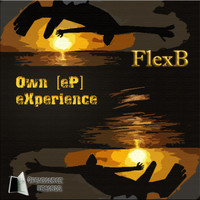 Thumbnail for the Flexb - Own Experience link, provided by host site