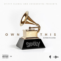 Image of Skooly linking to their artist page due to link from them being at the top of the main table on this page
