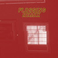 Thumbnail for the CLT DRP - Ownership (FLOSSING Remix) link, provided by host site