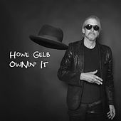 Thumbnail for the Howe Gelb - Ownin' It link, provided by host site