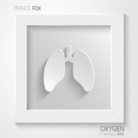 Image of Prince Fox linking to their artist page due to link from them being at the top of the main table on this page