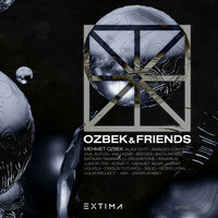 Thumbnail for the OZBEK - Ozbek & Friends link, provided by host site