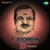 Thumbnail for the P. Jayachandran - P. Jayachandran Hits link, provided by host site