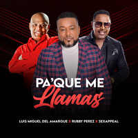 Thumbnail for the Luis Miguel Del Amargue - Pa´que Me Llamas (Salsa) link, provided by host site