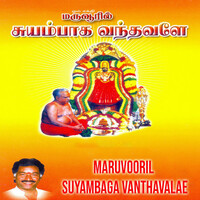 Thumbnail for the Vidhya - Paarkum Idamellam link, provided by host site