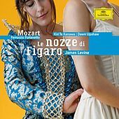 Thumbnail for the Ferruccio Furlanetto - Pace, pace, mio dolce tesoro link, provided by host site
