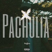 Thumbnail for the Ruffian - Pachulia link, provided by host site