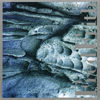 Thumbnail for the Fred Frith - Pacifica link, provided by host site