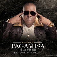 Thumbnail for the Professor Jay - Pagamisa link, provided by host site