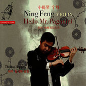 Image of Ning Feng linking to their artist page due to link from them being at the top of the main table on this page